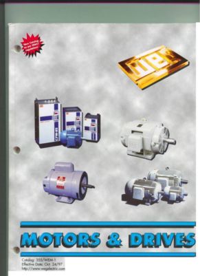 Edger Drive Motors